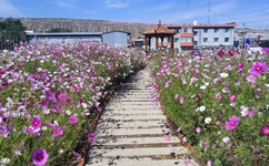 美女扒开腿让男人桶爽久久软件